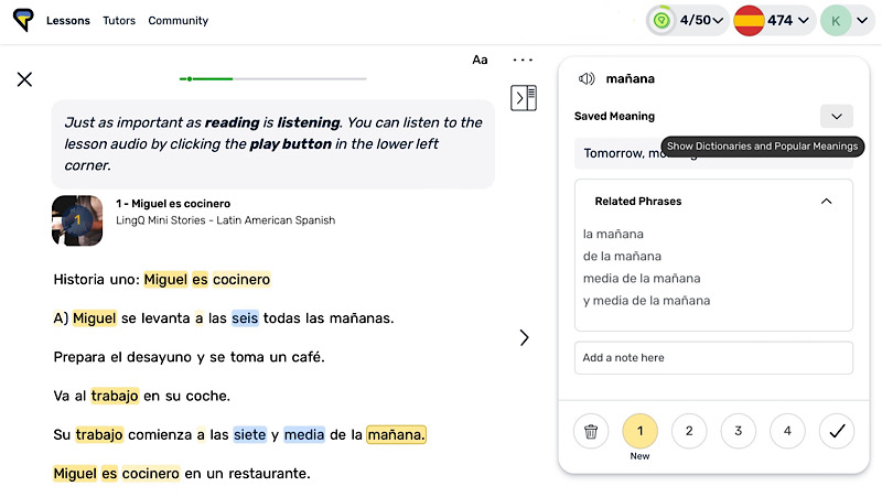 Lesson Snapshot LingQ Review