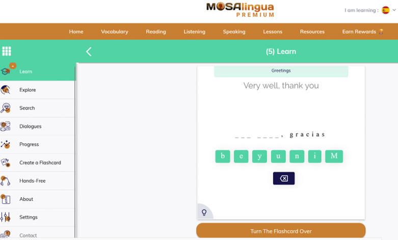 Mosalingua Example