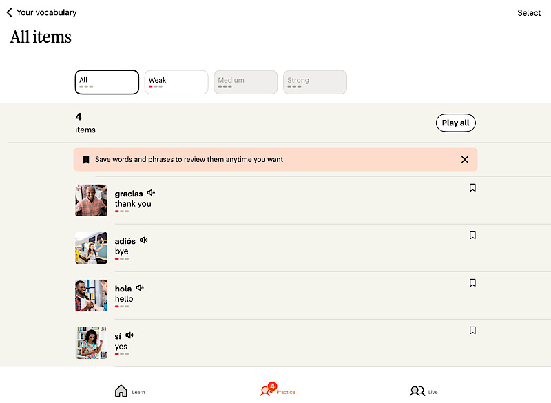Vocabulary tab