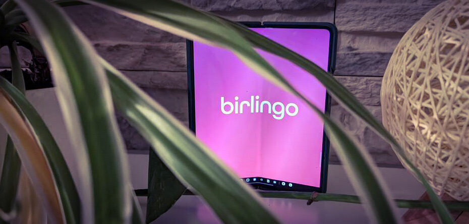 Coverbild für den Birlingo Test