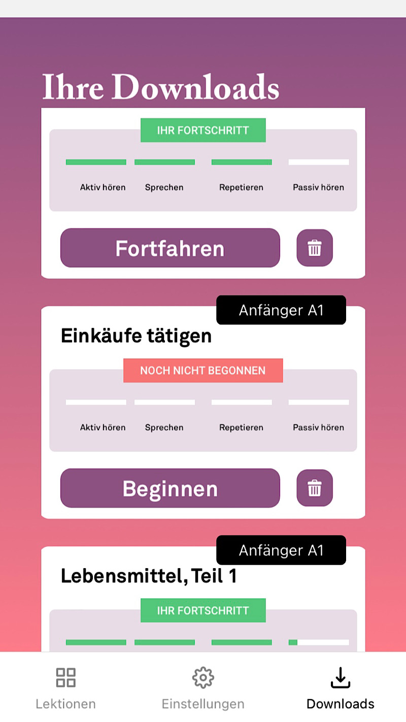 Das Download Menü in der Birlingo App