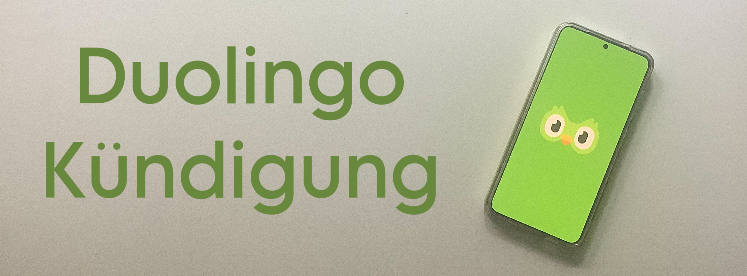 Duolingo Kündigung Cover