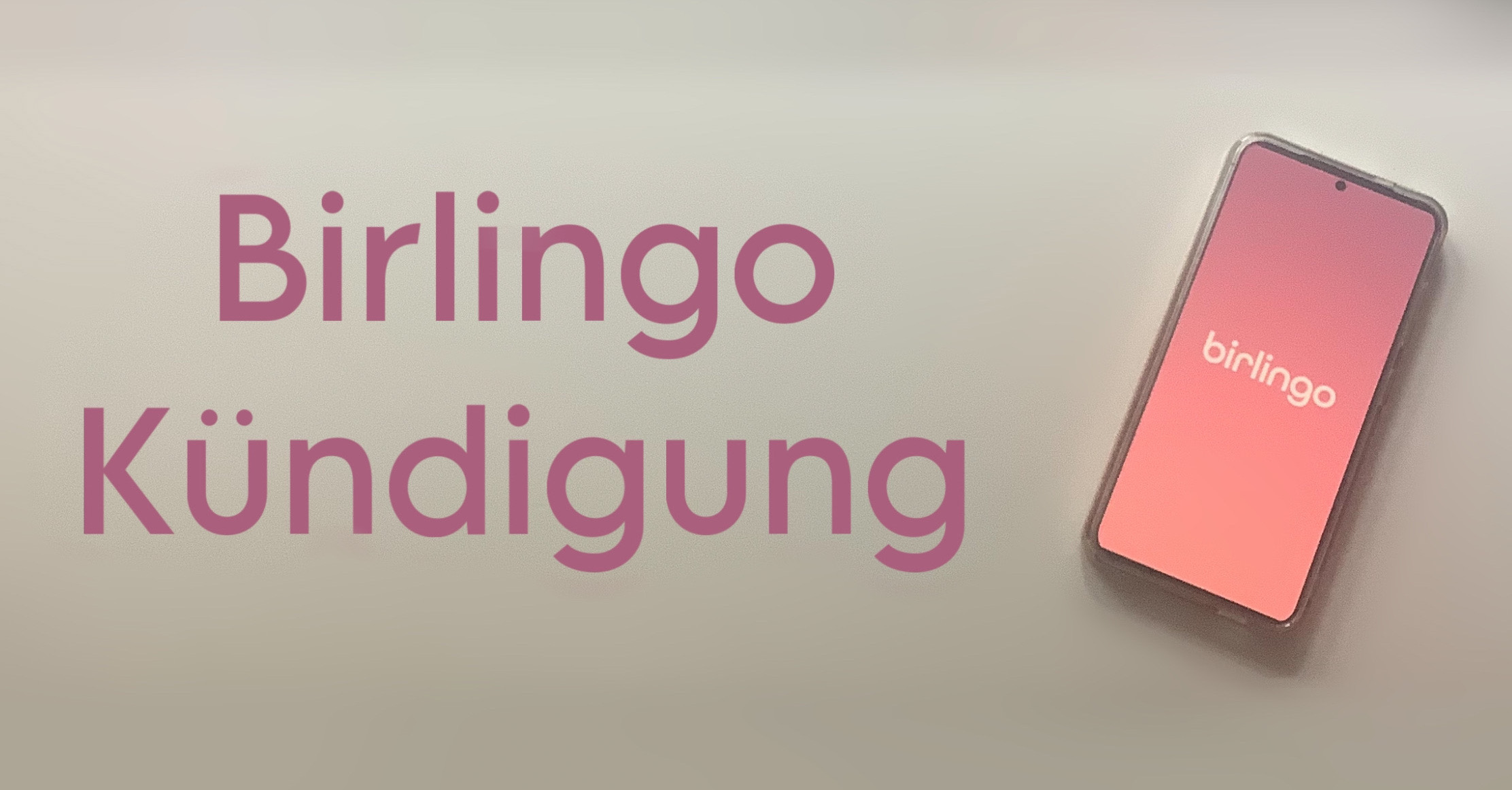 Anzeigebild Birlingo Kündigung
